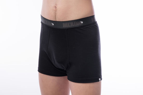 Picture of Roze, 100% merino, Men, boxer shorts - no opening